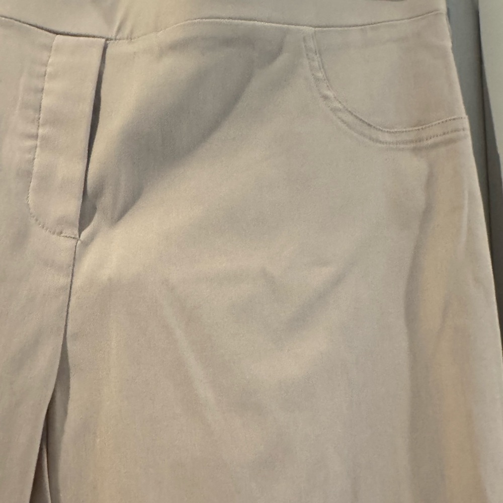 NWT Melanie Lyne Beige Pull on style slim ankle pants Sz 6